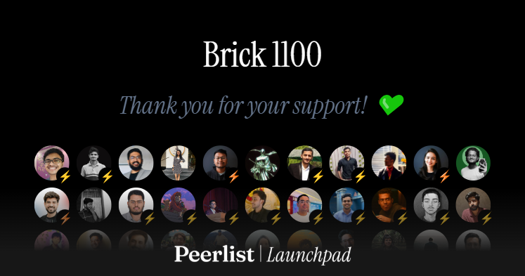 Brick 1100's successful launch, my entire experience