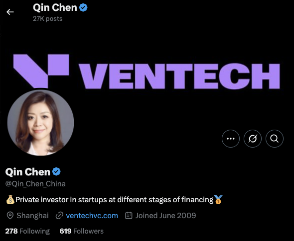 Scammer's fake X profile